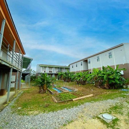 House&Cafe Green Terrace - Vacation Stay 69610V Ishigaki  Eksteriør billede